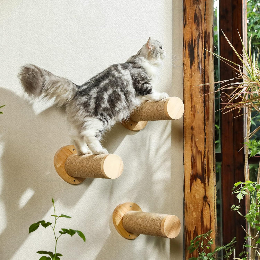 ARBRE À CHAT MURAL