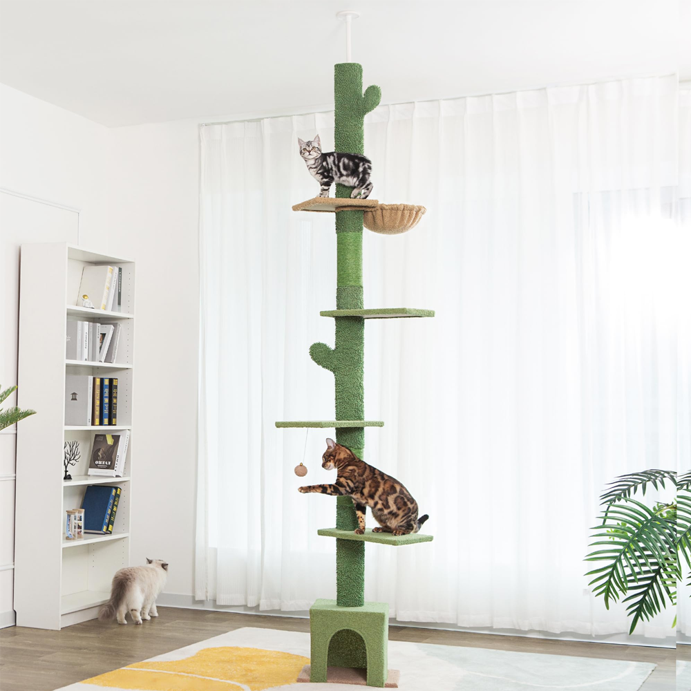 Arbre à chat design cactus