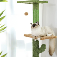 Arbre à chat design cactus griffoirn plateforme et ponpon