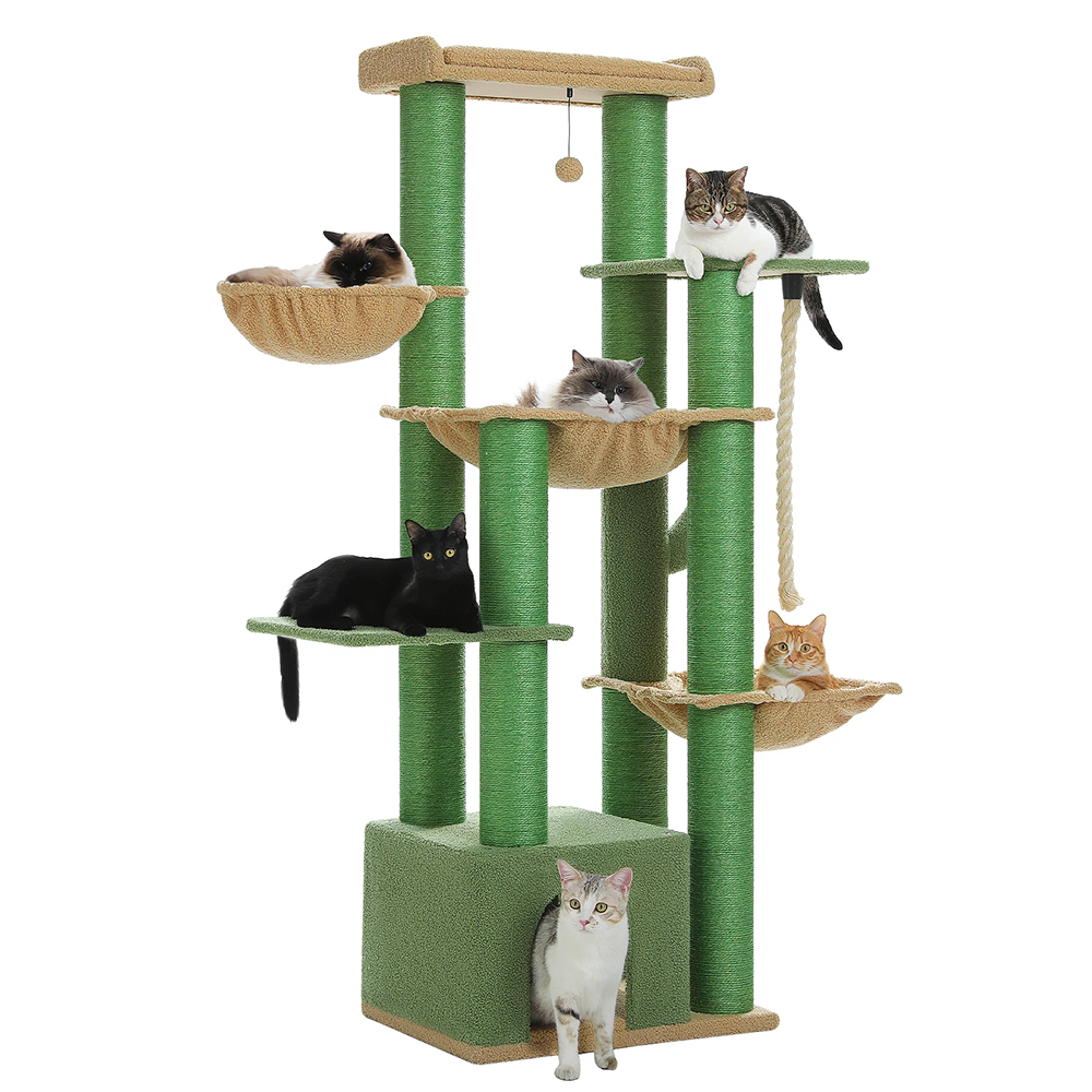 Arbre à chat xl Maine Coon vert