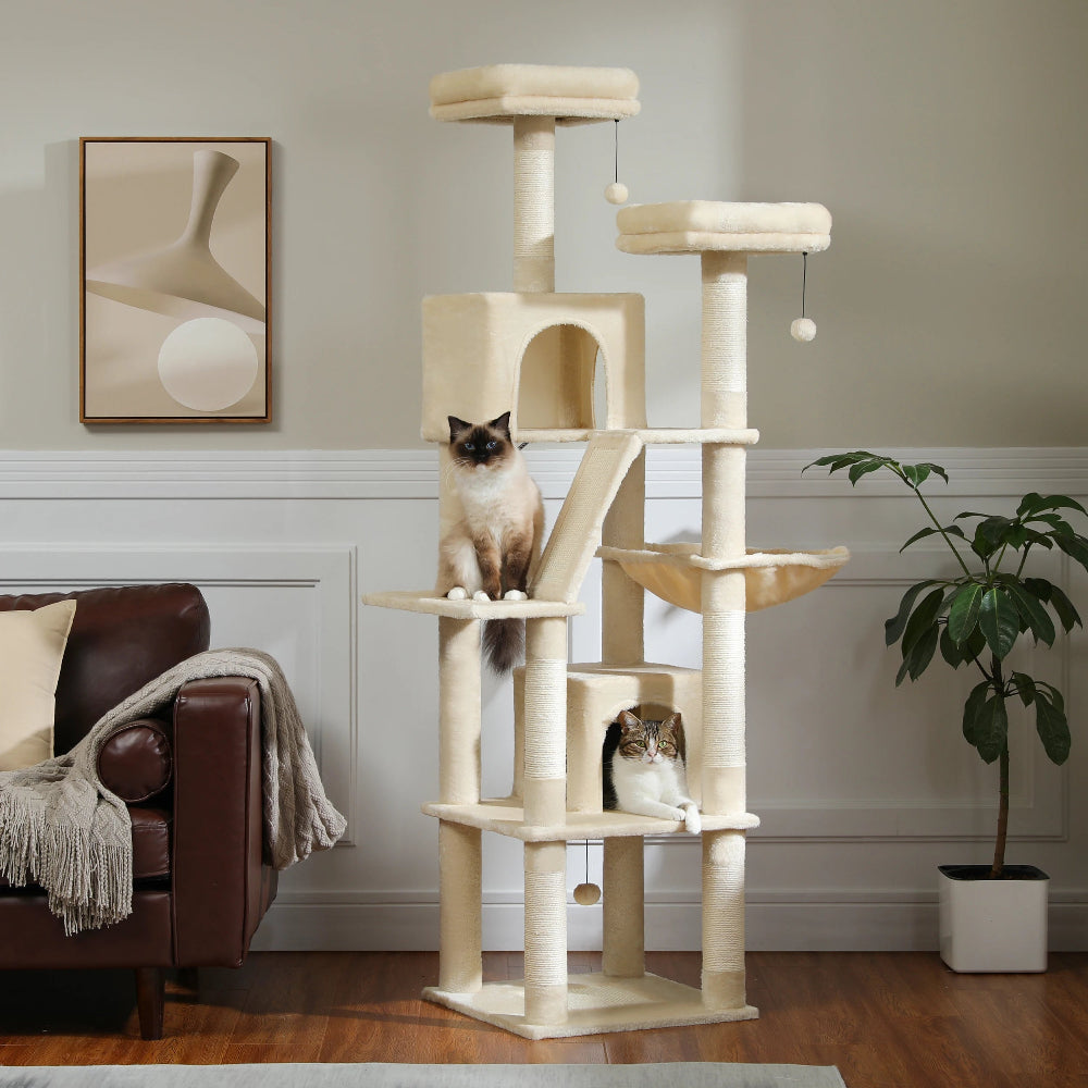 Arbre à chat xl grands félins beige