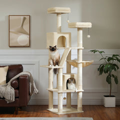 Arbre à chat xl grands félins beige
