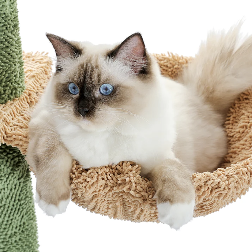 Arbre à chat design cactus hamac