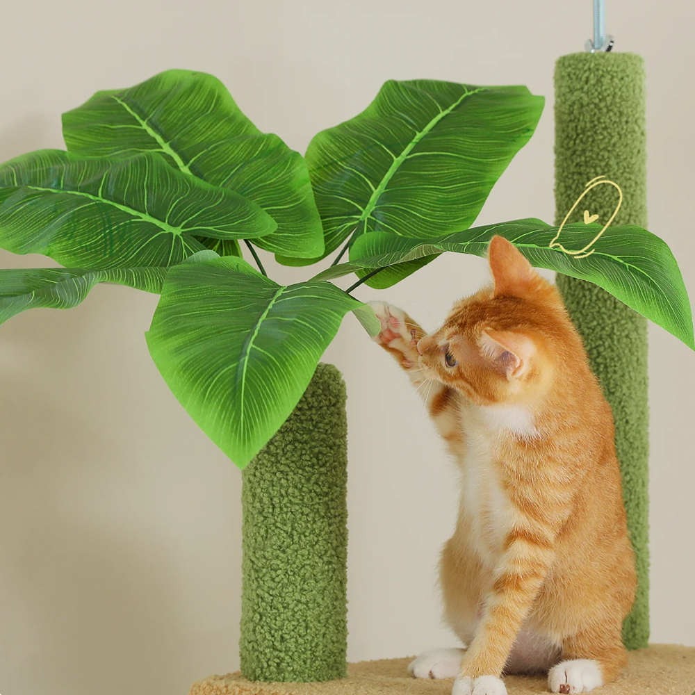 Arbre à chat design exotique jouet