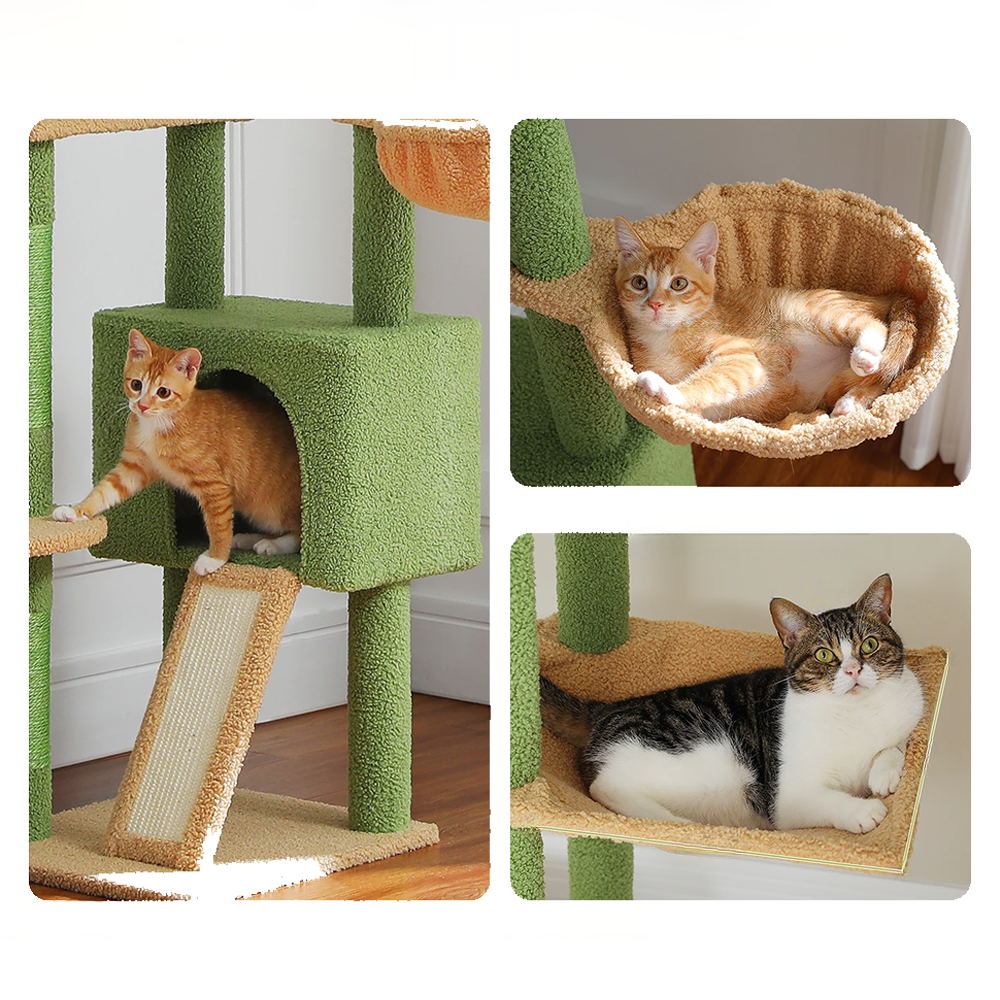 Arbre à chat design exotique petite maison hamac et plateforme 