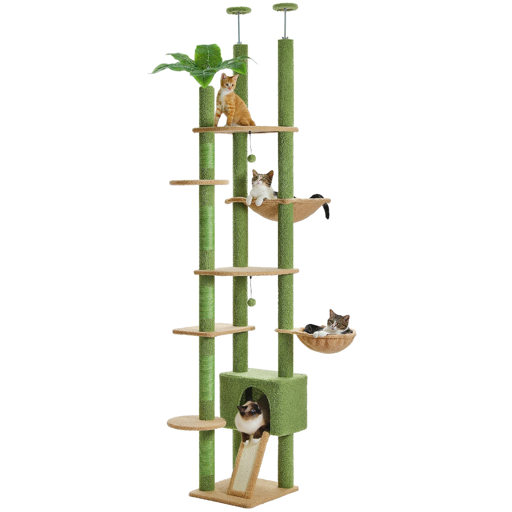 Arbre à chat design exotique