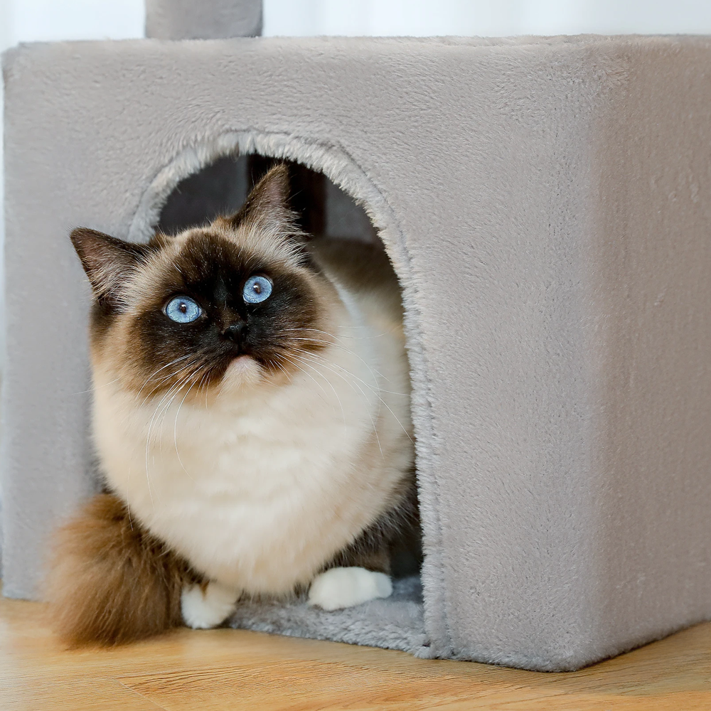 Arbre à chat design petite taille beige petite maison