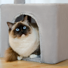 Arbre à chat design petite taille beige petite maison