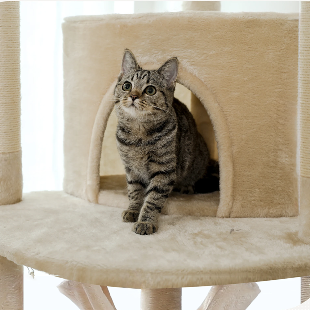 Arbre à chat design escalade beige petite maison