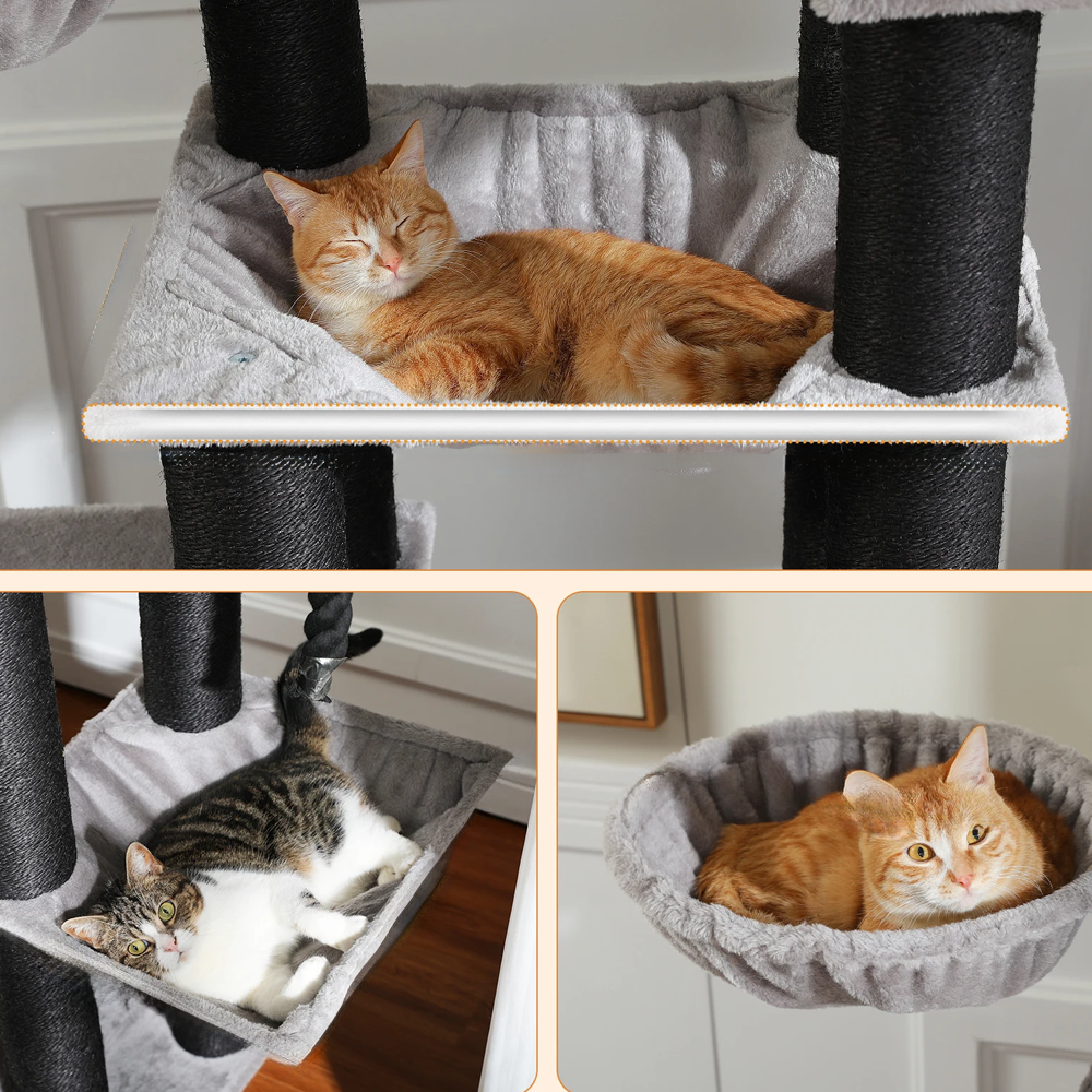 Arbre à chat xl Maine Coon gris clair multi-espace de confort et repos